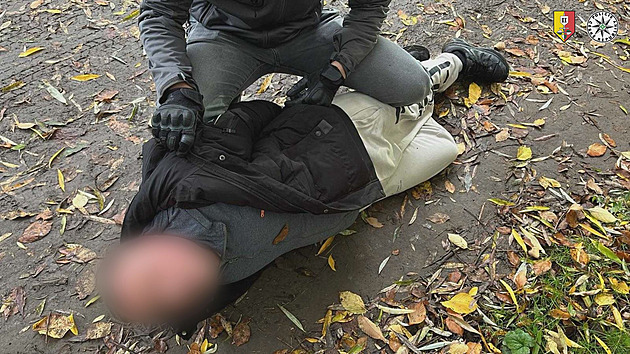 Policie obvinila cizince, který se v Dalejském údolí pokusil znásilnit ženu