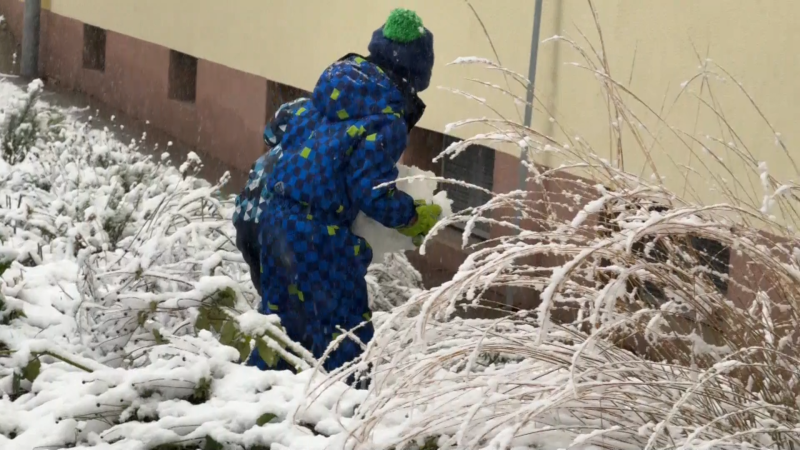 Nejezte sníh, varují hygienici. Je toxický a může obsahovat velmi nebezpečné nečistoty