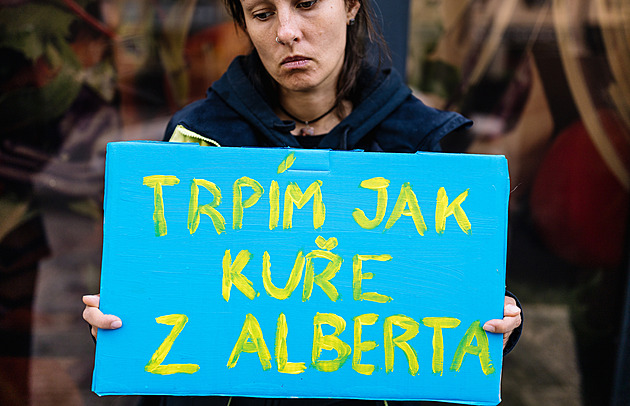 Po kritice se Albert snaží ukázat lepší tvář. S vědci chce pomoci zlepšit chov kuřat