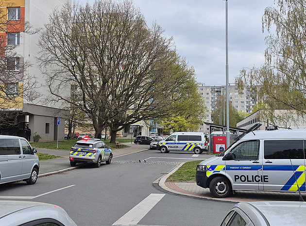 Přijeďte, mají zbraně. Vyděšená žena spustila policejní manévry, vše bylo jinak