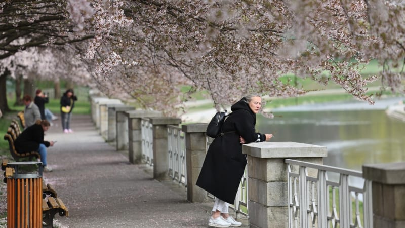 Chladný první máj a pak zvrat. Předpověď na květen varuje před nepříjemným jevem