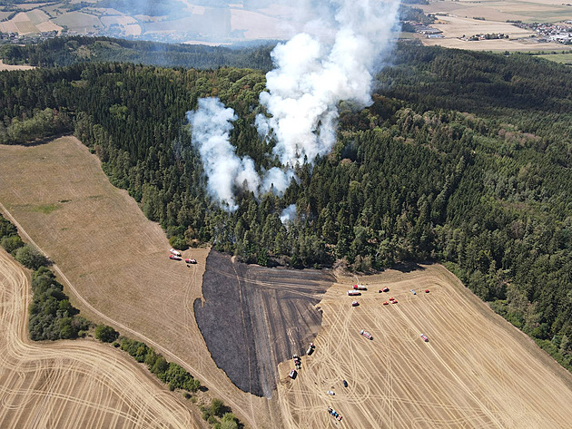 Plameny z pole na Klatovsku zasáhly i blízký les, hašení komplikoval vítr